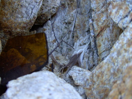 Broken glass, a feather, and some twigs stuck between rocks